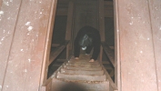 PICTURES/Fort Abraham Lincoln State Park/t_Down Guard Post Ladder.JPG